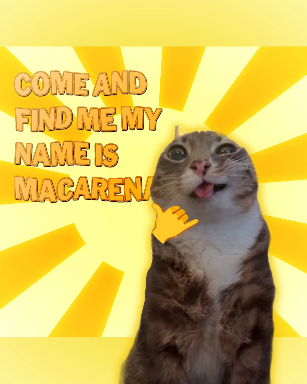 my name is Macarena 