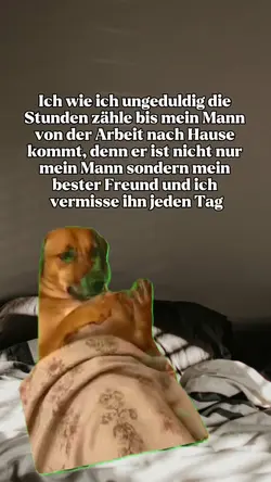 Dog counting 