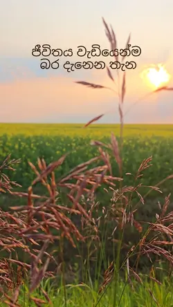Sinhala template 