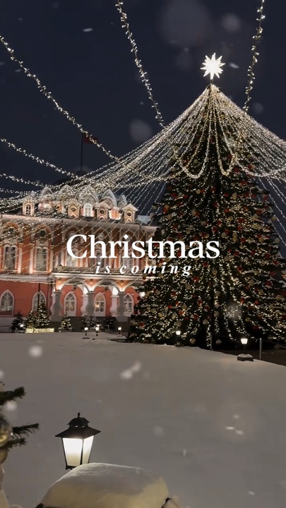 Christmas is coming🎄