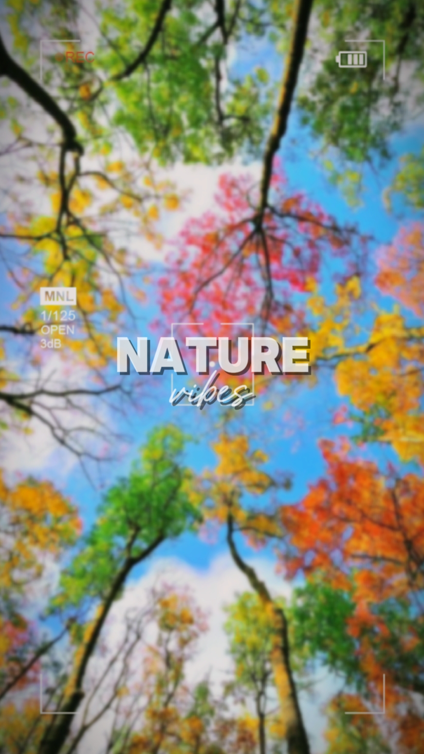 Nature vibes