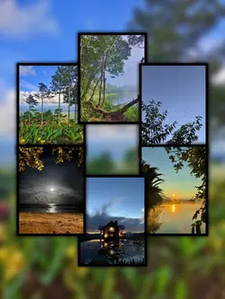 6Pic Trend