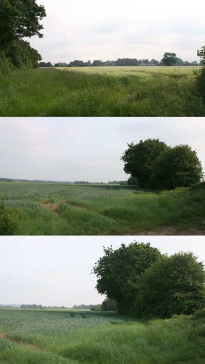 3 pic 