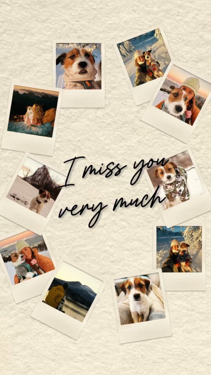 Dog RIP