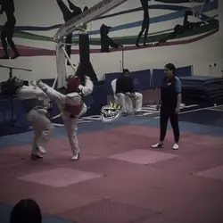 Turning Kick