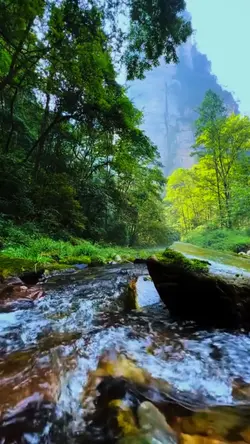 nature therapy
