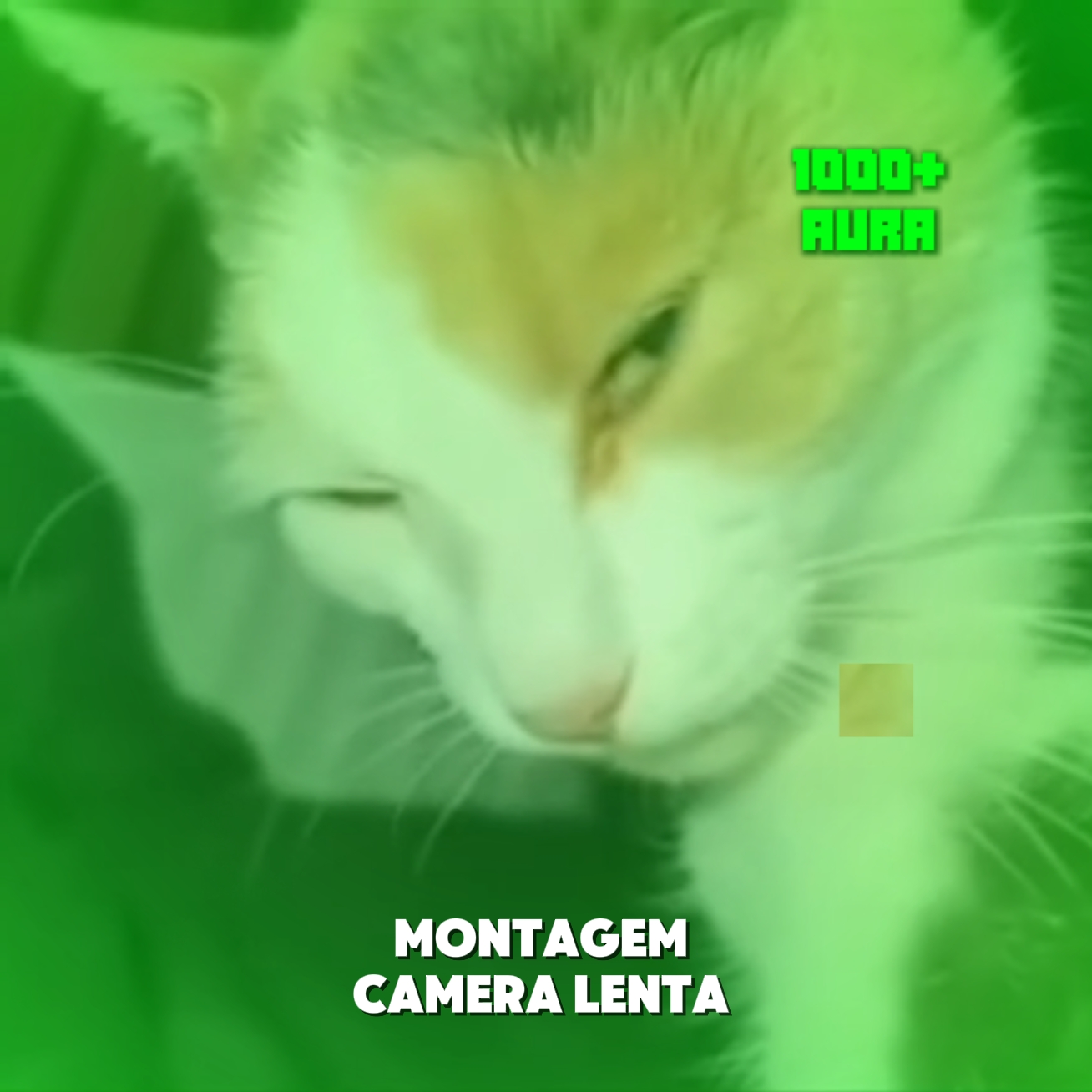 CAMÉRA MONTAGEM 