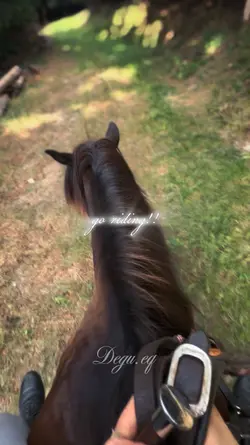 Go Riding !!
