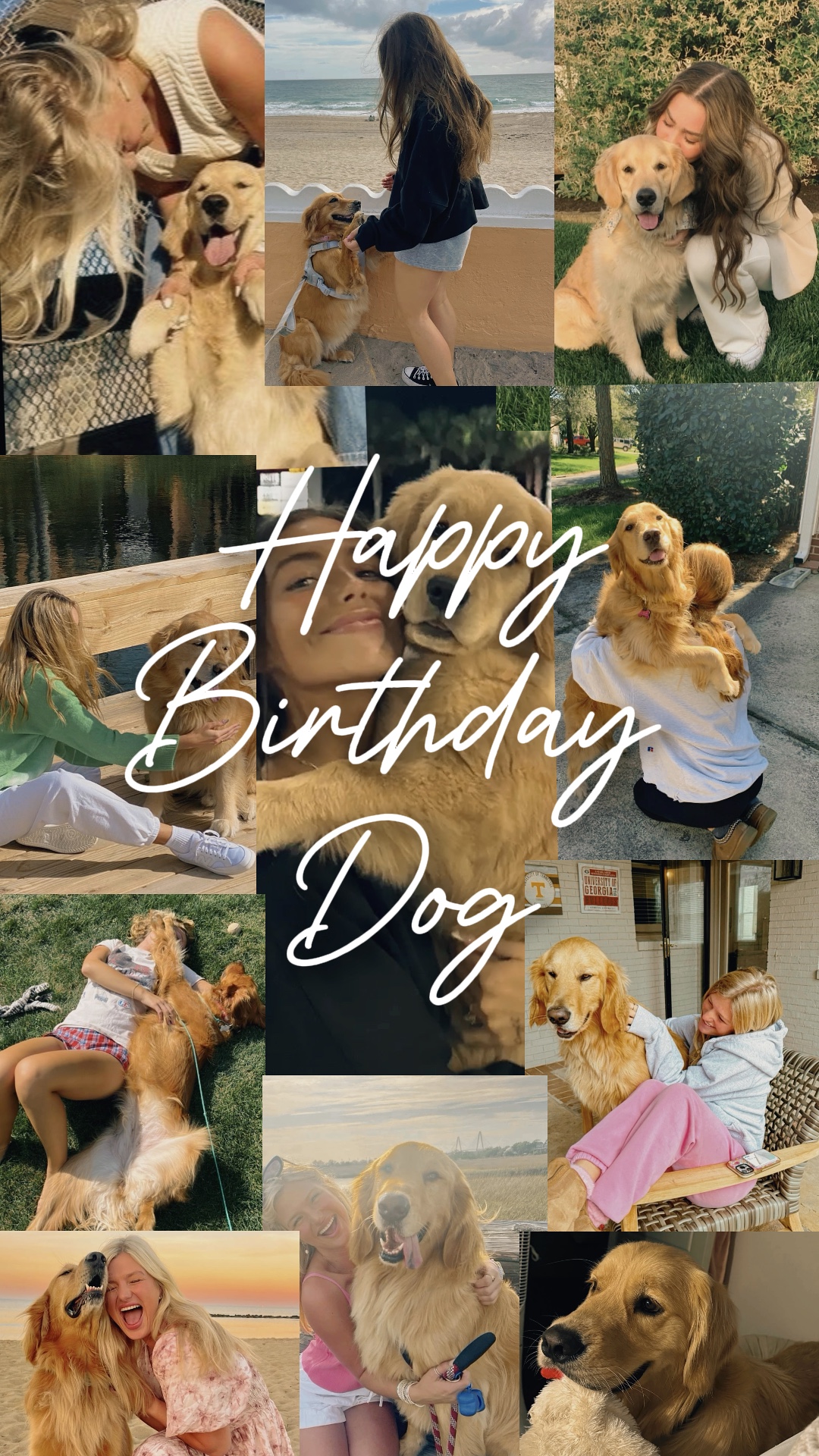Alles Gute zum Geburtstag Hund 