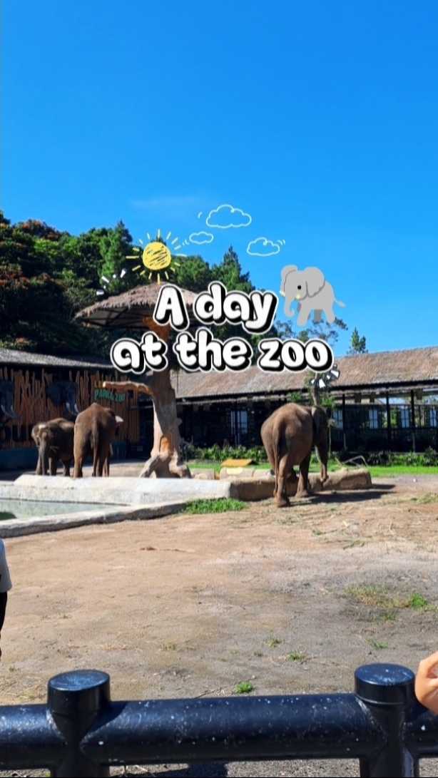 Ein Tag im Zoo