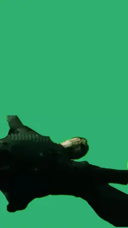 matrix dodge