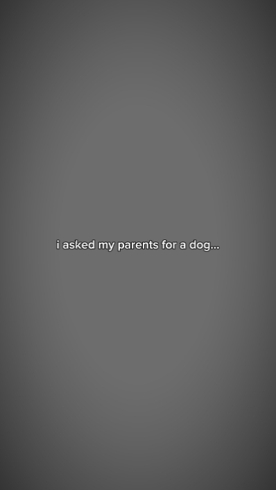 Dog Name