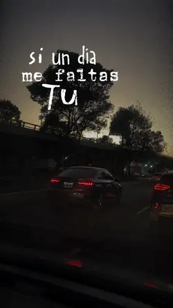 Si un día me faltas