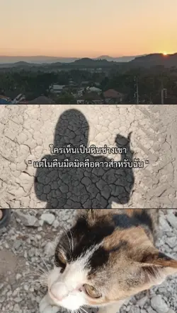 คือดาวสำหรับฉัน