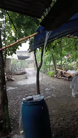 RainySeason