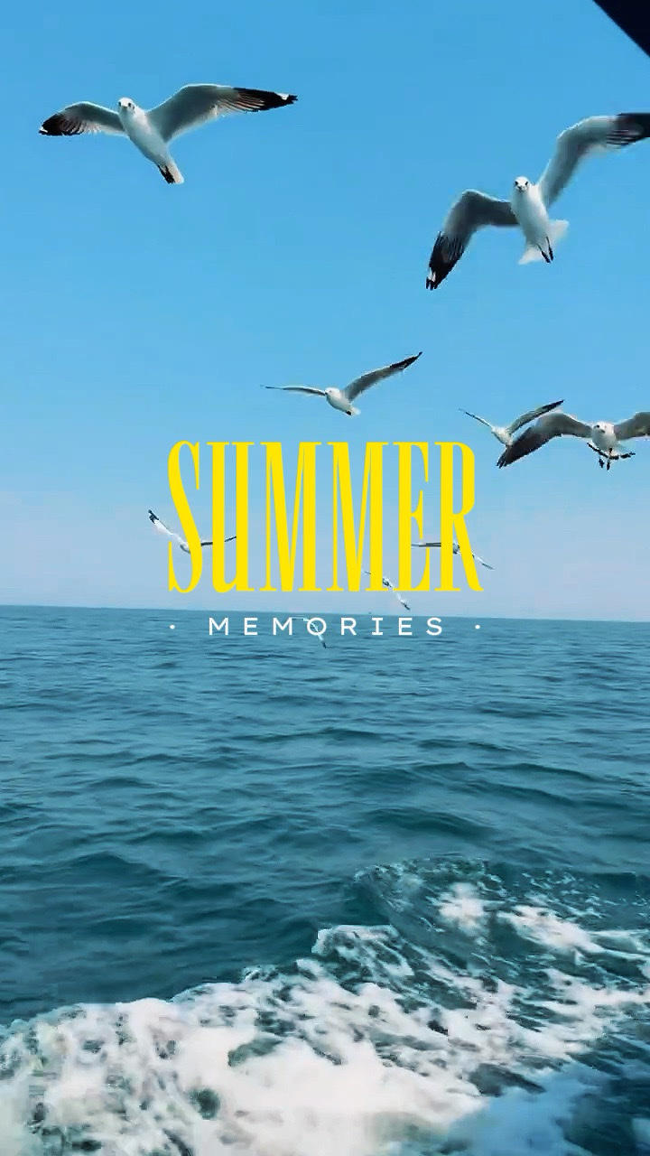 SUMMER MEMORIES 