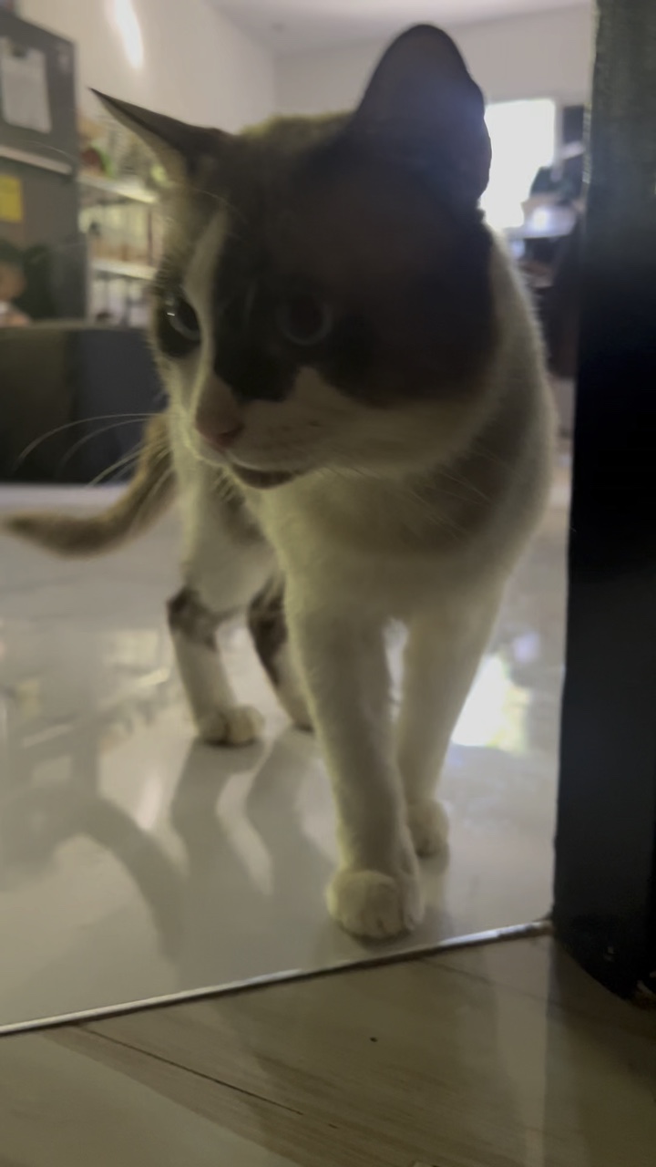 Pogi kasih Toby