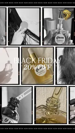 Black Friday offer