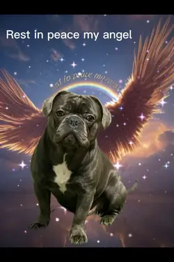 Rest peace my angel