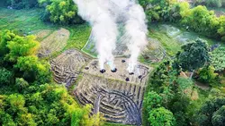 mẫu 1 video màu