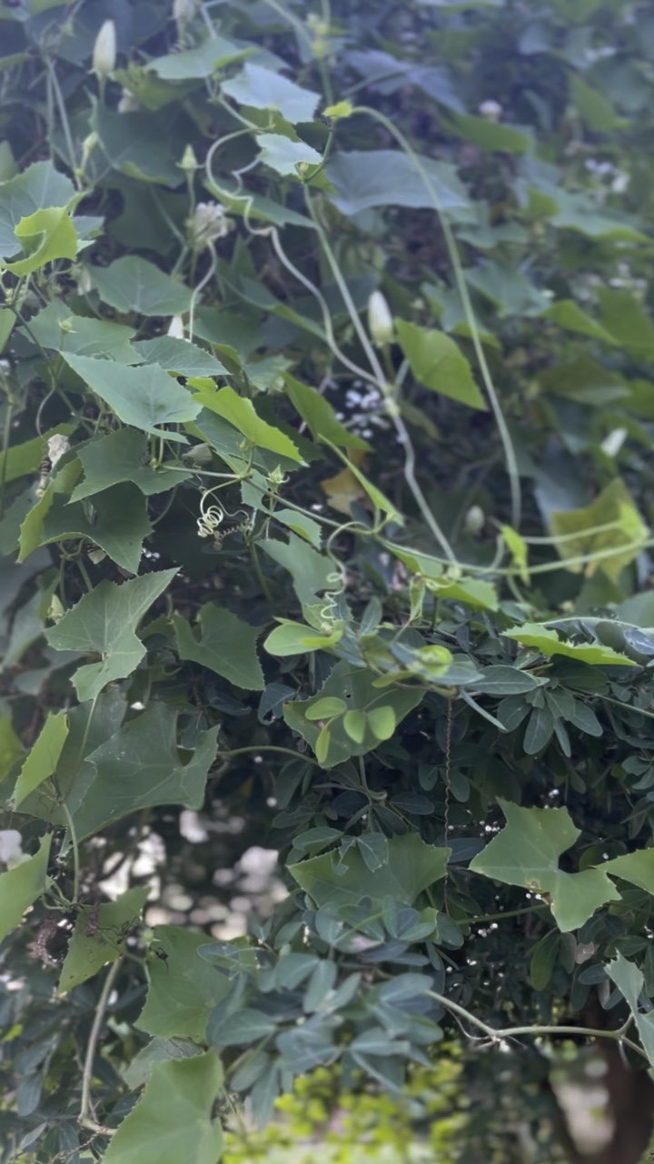 natureedits