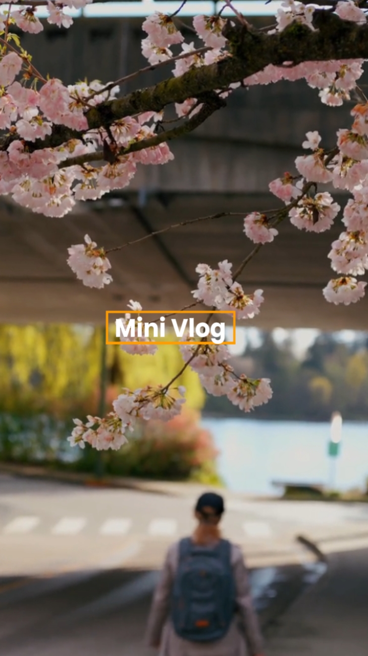 Mini Vlog Tokyo