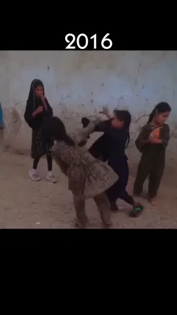 kardeş Şablonu