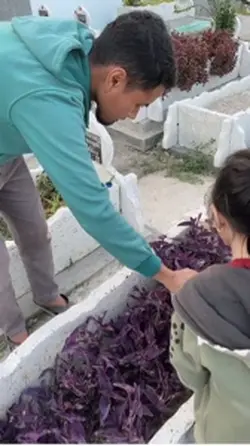 Bertamu ke makam