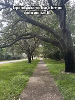 Past life