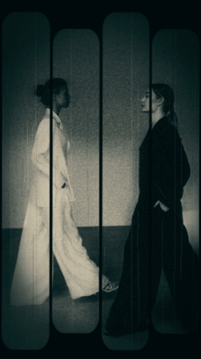 AestheticTransition 