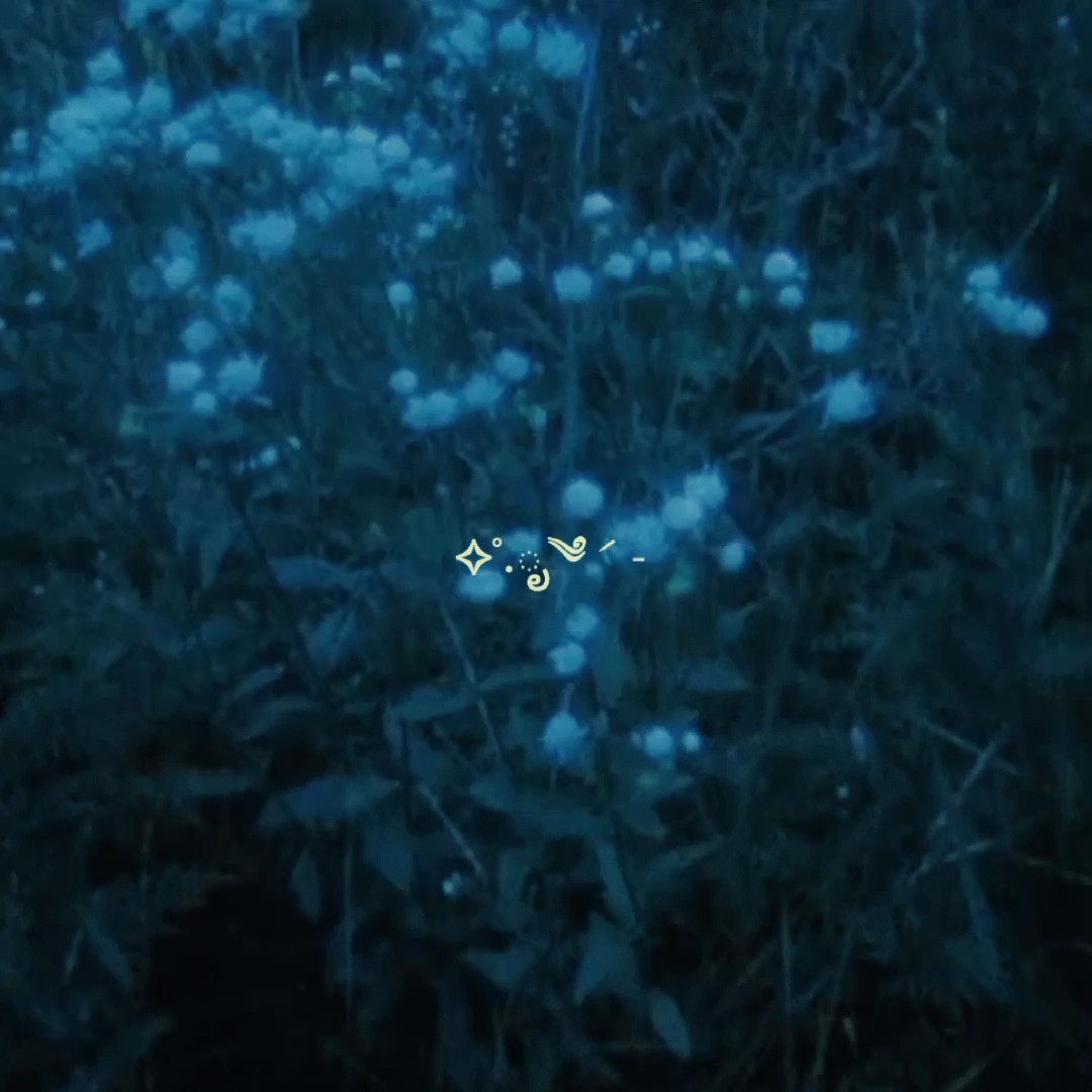 aesthetic dreamy.