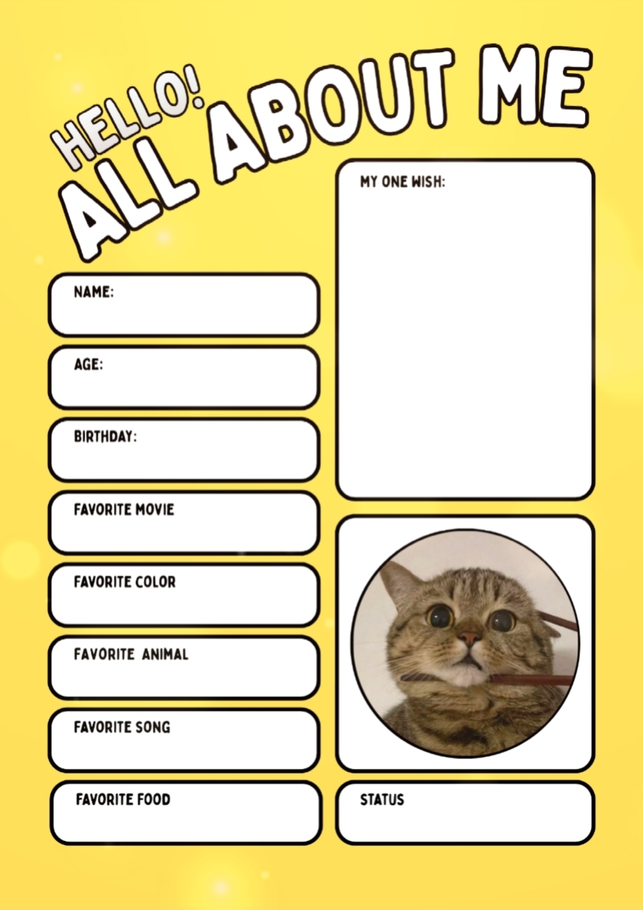 Chopstick Cat