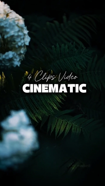 4 Videos Cinematic