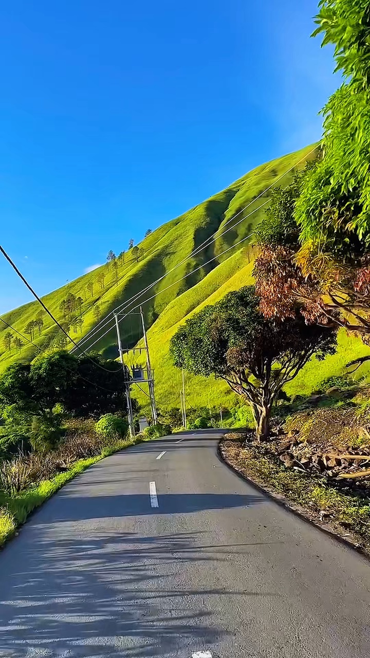 6 filtro de video HD