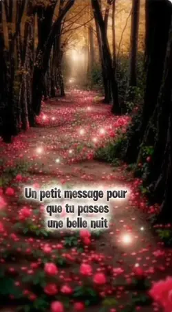Douce nuit