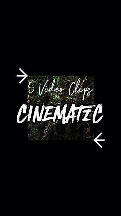 5 videoclipes 
