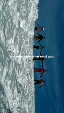 remember avici said