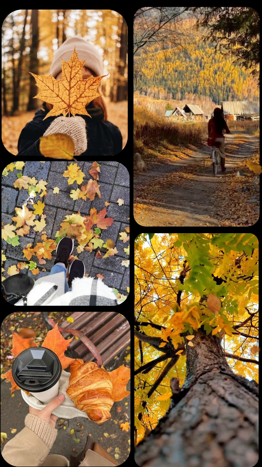 Collage d'automne
