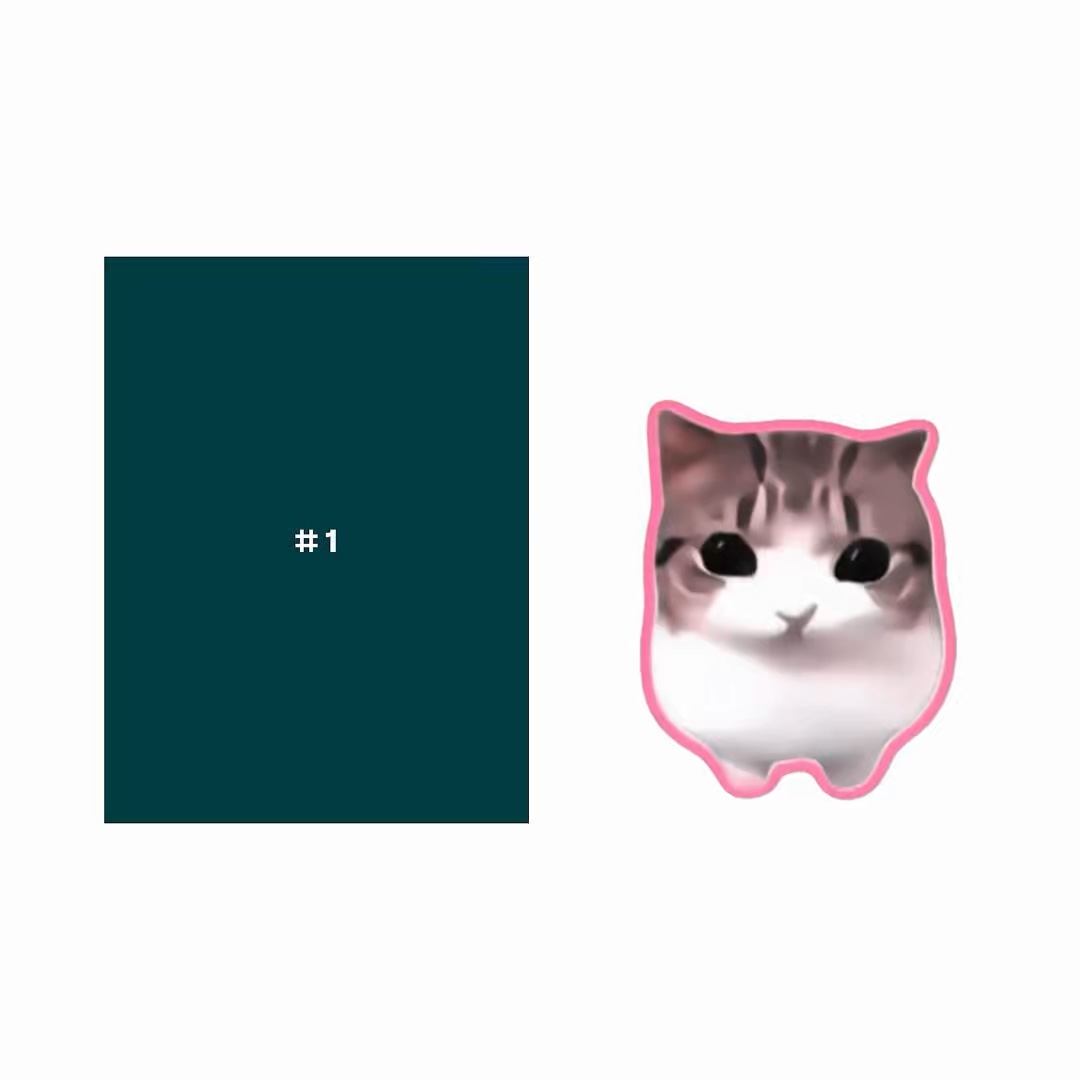 DAMDAM DIDI KUCING