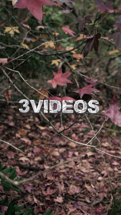 3vidéos cinématiques 