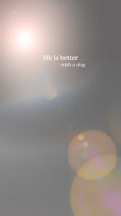 Life is better