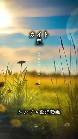 カイト/嵐