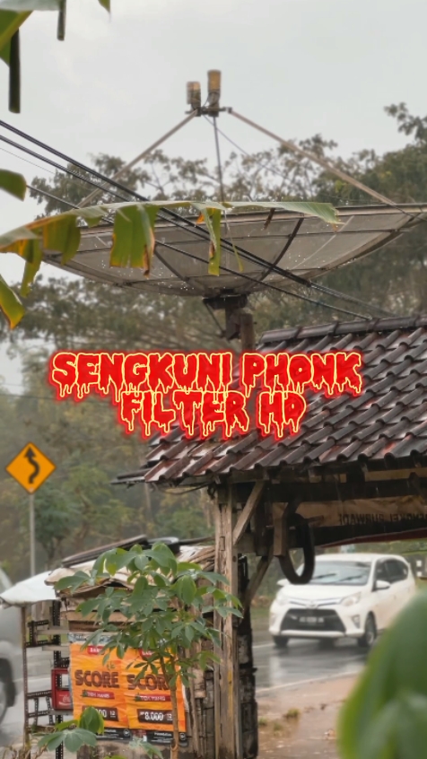 ANE PHONK SENGKUNI