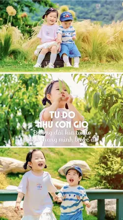 Tự do như cơn gió