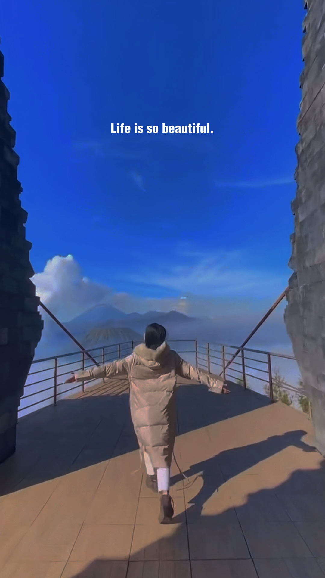 A Vida É Tão Bela