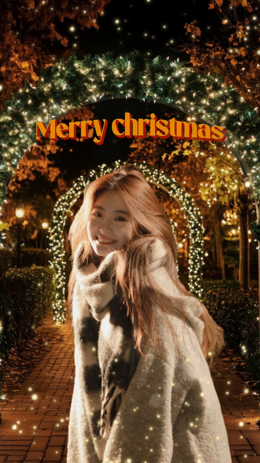 Lumières de Noël