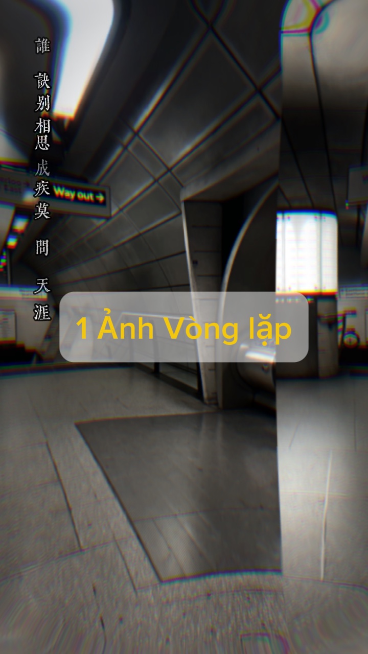Vòng l 