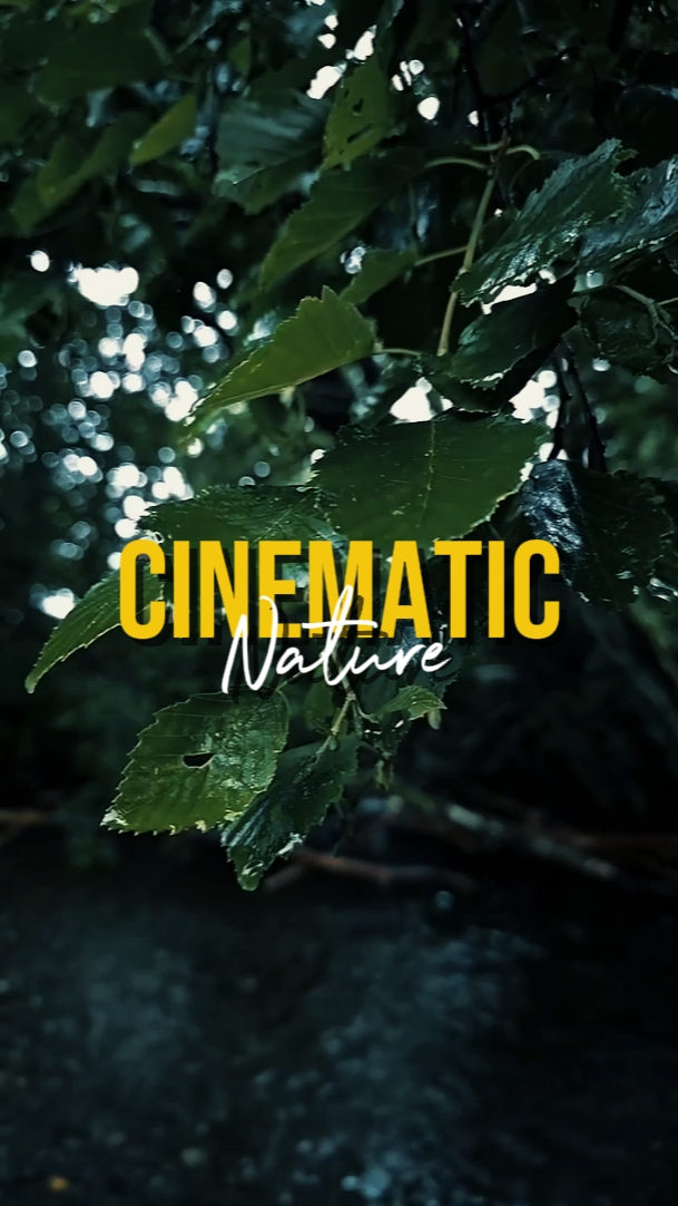 NATURALEZA CINEMÁTICA