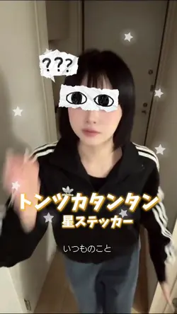トンツカタンタン⭐️星ステッカー