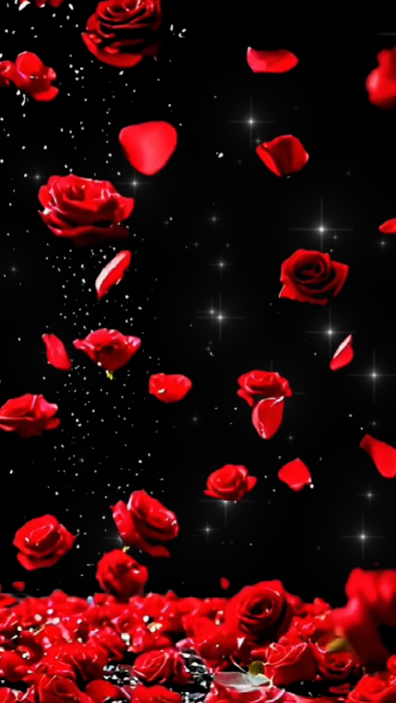 Lloviendo Rosas